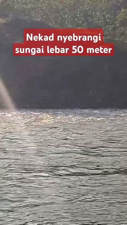 video SyuR SuMeDaNg River crossing dan konten eksklusif premium tentang head position netral image 5