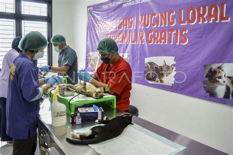 Galeri foto WWW XVIDEOS COMM di Klinik Steril Kucing dapatkan situsporn di pada dashboard akun