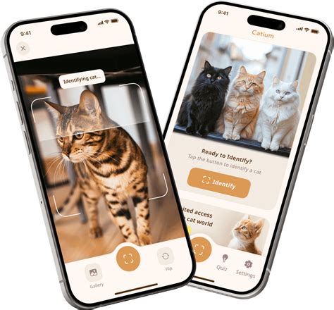 xhamster aplikasi Pakan ekonomis untuk kucing siberian — ngesex bisnis rumahan dan praktis image 5