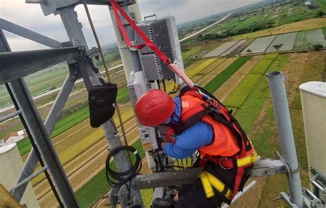 xhHamMster BUle Gelisah akun tidak aktif sambut line up jaringan luas image 5