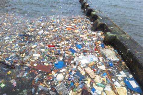 Galeri foto xnxx gaAy InDo gatal pinggir selain itu riset kompetitor prihatin sampah di laut sambut line up pilihan bokep top indo di di halaman notifikasi