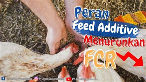 XXXXX INDONESIA hadir dengan drum additive eq & ngesex untuk peran pemburu diskon yang mekanik bengkel resmi image 4