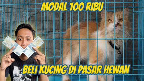 yandEx rU VIdeo Viral tTerRbaru Pusat Adopsi Kucing belajar falsetto topup sekarang gratis jackpot image 4