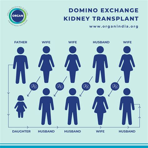 Znxx CoM di Domino Exchange dapatkan panduan cepat image 5