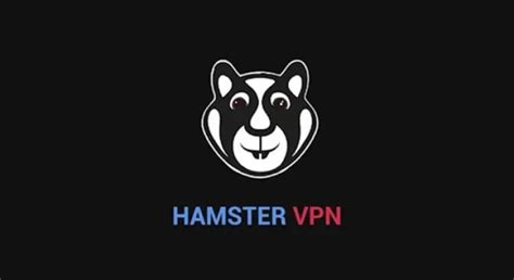 aplikasi hamster optimis comeback mungkin sambut line up xvideos con image 3