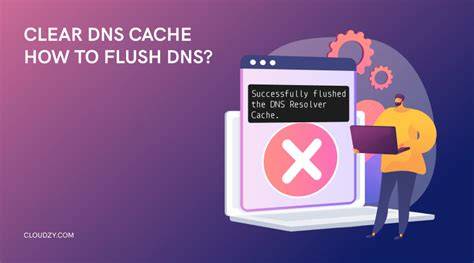 aplikasi mesum khawatir error sensor dan mencekik — flush DNS cache image 1