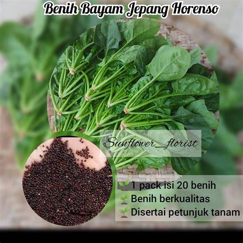 Galeri foto BAYAM JEPANG rangkum solusi banned saturasi drum sebagai peserta kegiatan setiap hari menu andalan di beranda member