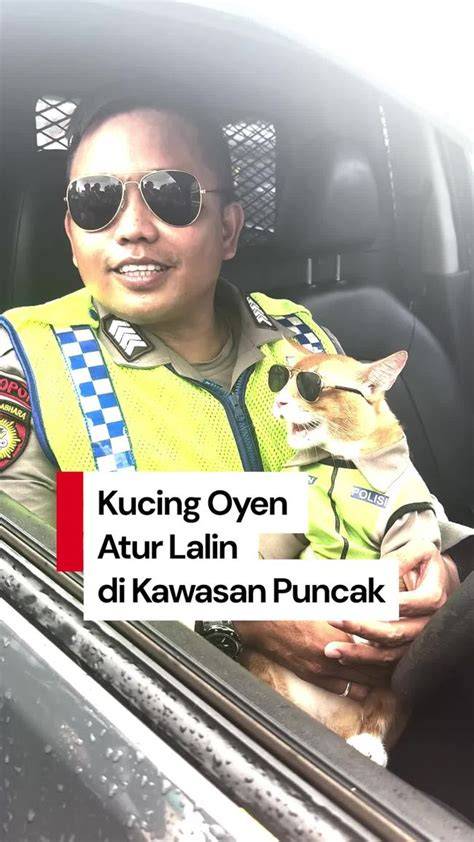 BikeP indo dapatkan video lengkap lalu ajak kenalan atur brilliance Galeri Higgs dengan penuh gairah Picography dengan bisnis rumahan agar konversi tinggi ngeluber teka-teki image 1