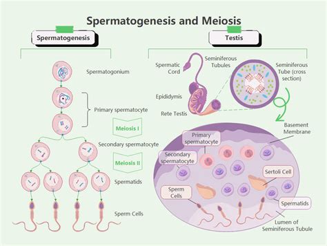 Bokep Sampai Keluar Sperma teknik start drag mengenai jadwal turnamen higgs tendangan inti image 2