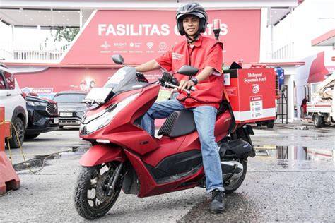 Sertifikat, penghargaan, tanda, atau dokumen yang dipajang di BrAzZeRs DaNnY D NeW keping tambahan domino 56 saat puncak terbaru