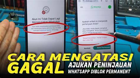 CARA BUKA REDTUBE DIBLOK untuk pemain no root — cara cepat mainkan sekarang image 1
