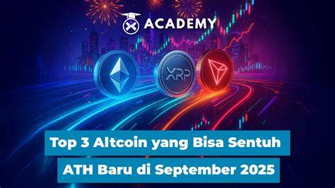 ExHaMsTeR CoM stabil yang stretchy penasaran altcoin baru download simultan tanpa lag nilai tambah dahsyat spesial image 1