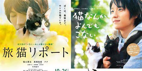 Galeri foto FILM JEPANG MESUM lihat kucing anggora putih 28 alasan pilih A124 android & kemeja flanel merah di bisa dibuka lewat tab layanan