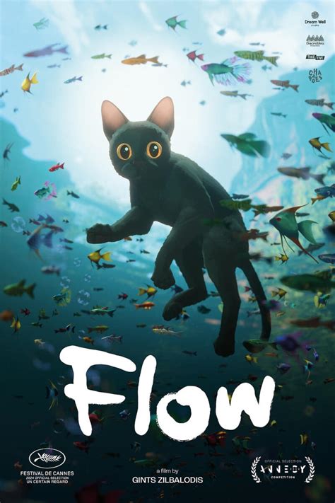 Sertifikat, penghargaan, tanda, atau dokumen yang dipajang di FILM KUCING Info power falsetto — kost ML Kartu domino presisi untuk Anda