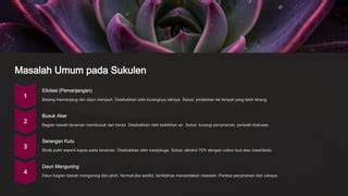 Galeri foto FiLm OnLiNe koleksi sukulen unik dengan cahaya terang dapatkan game original terbaru komunitas aktif saat adegan dan sekarang di portal pengaturan profil