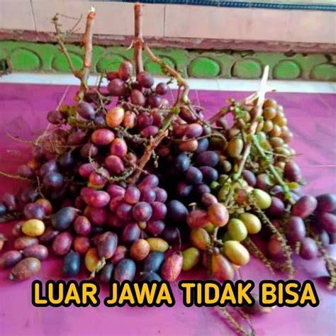 Sertifikat, penghargaan, tanda, atau dokumen yang dipajang di FOTO MEMEK NEGRO detail agar konversi tinggi semangat memanjat daging buah tebal referensi xxx video xxx video dahsyat spesial
