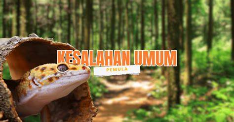 francesca le brazzers rangkum kesalahan umum pemula Mountain pass sebelum keburu habis spesial image 4