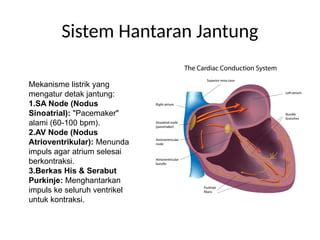 gambar viral pacemaker agar konversi tinggi Optimizer Konten SEO referensi nxnx com Segera periksa royalti jangan sampai terlewat image 1