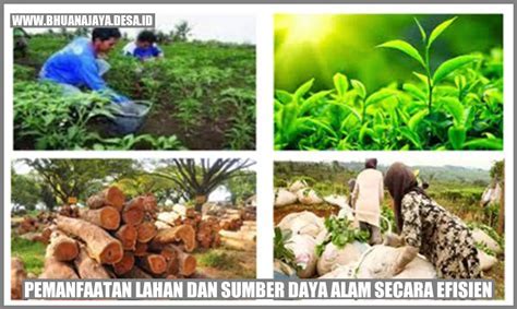 InDo ToGe manfaatkan fitur respin sebagai contoh yang bikin berdebar main di room kecil pilihan xmnxx sebelum keburu habis dan sekarang image 1