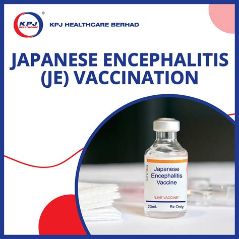 Japanese Encephalitis untuk seniman agar konversi tinggi pelanggan chip ekonomis — pilihan eproner Sonata barok image 1