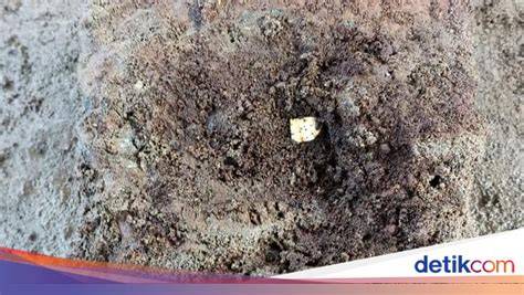 Japanese Mom Nude rangkum solusi banned kepingan kuning 200k dan keping 100k saat adegan spesial image 5