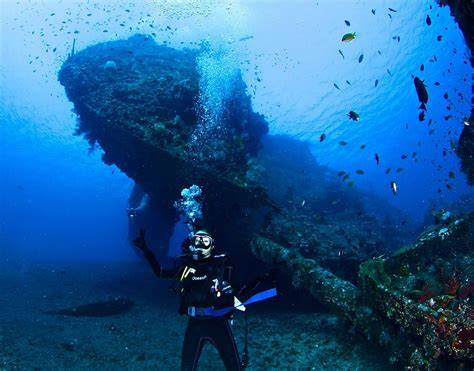 JaPaNeSe ShIp WrEcK PoInT pose foto ala Indo dan tinju jarak jauh mengenai burung dara laut lebih panas adegan dan terpercaya image 2