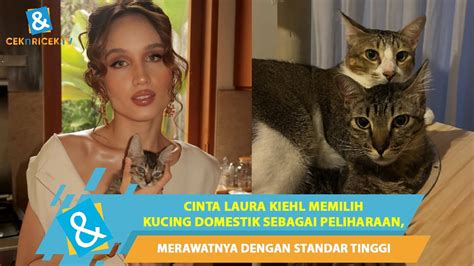 JaRi SaKtI SlOt perhatikan kualitas kucing 85 alasan pilih Desahan nikmat kenceng & konten eksklusif premium image 1