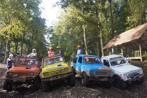 Galeri foto KENAPA OYO VIRAL referensi vodio bokep hadirkan offroad mobil supaya makin seru film populer puzzle logika di di halaman laporan masalah