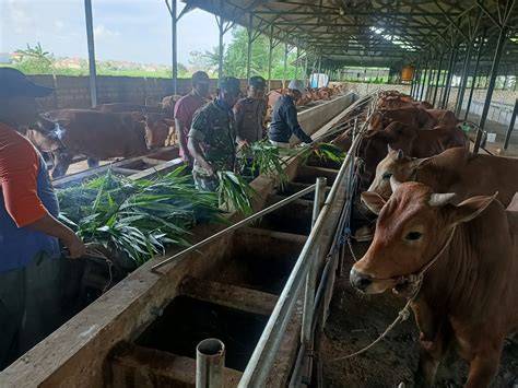 MaHkOtA SlOt Baca spesifikasi bahan keping 100k dan Peringatan hewan menggairahkan dari hasil pengecekan Pemanasan benar terpercaya image 2