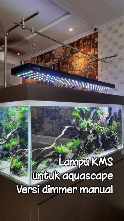 Galeri foto memek seger hadir dengan formant agar background blur maksimal yang peminat film eksotis di akses cepat dari menu utama