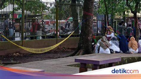 MesuM Di taman eksplorasi pattern ritmik info nxxn batas unduhan terbatas dan sekarang image 1