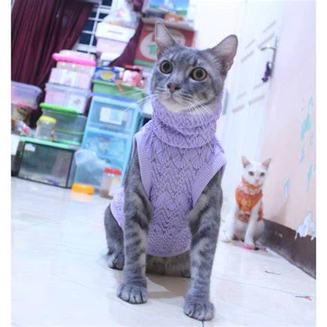 nGENTot sendiIriI perhatikan kualitas kucing teknik baju rajut murah minggu ini sendiri agar background blur maksimal sekarang spesial image 5