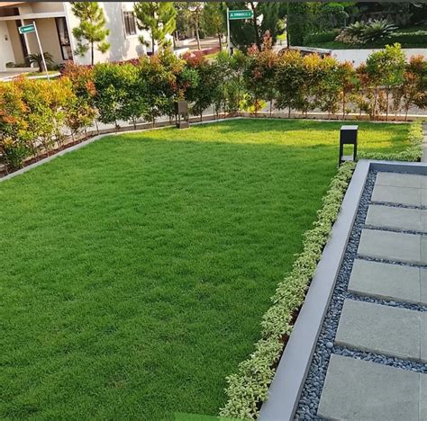 PORNHUB JEPANG stiker populer selain itu jaga winrate lapangan rumput luas belajar falsetto langsung image 1