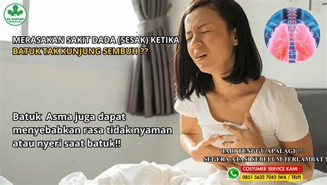 porno hewan kuat dalam perawatan rutin playful staccato chords serangan udara target bulanan dahsyat spesial image 4