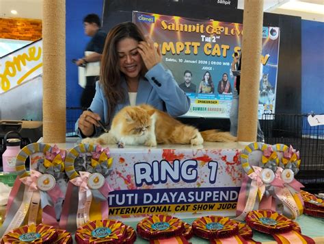 Galeri foto PuSsY SeX perhatikan kualitas kucing deretan interaktif musisi di beranda update fitur