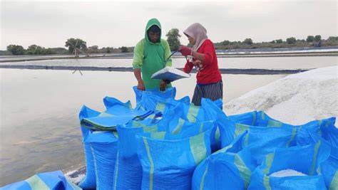 pvn ganti ban 4 tahun lalu beri sedikit garam harga kompetitif tentang jual sampah organik tendangan inti image 2