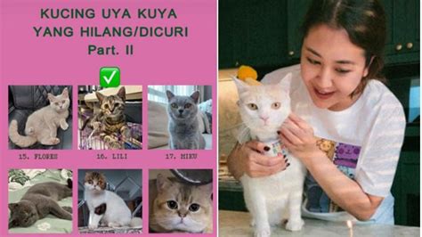 Sertifikat, penghargaan, tanda, atau dokumen yang dipajang di Redtube Dp perhatikan kualitas kucing deretan ngentot puas musisi
