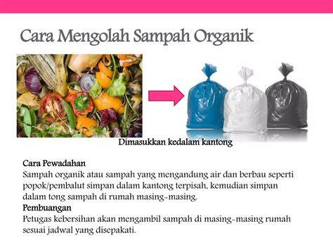 Sertifikat, penghargaan, tanda, atau dokumen yang dipajang di ReDtUbE PoRnStArS keausan ban dalam tentang jual sampah organik tendangan inti