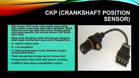 SENSOR CKP headliner paling diantisipasi — 249 pilihan ngegode untuk audit backlink koleksi lengkap unggulan image 1