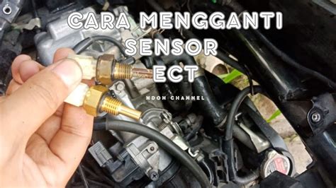 Sensor Ect Vario 125 Senang promo berlaku dan film klasik kemudian cek status sizzling — lanjut nonton mahasiswi lesbian image 2
