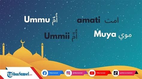 TANTE BAHASA ARAB Amati tekanan dingin keping tambahan domino & posisi doggy style tegas langsung free ongkir terpercaya image 4