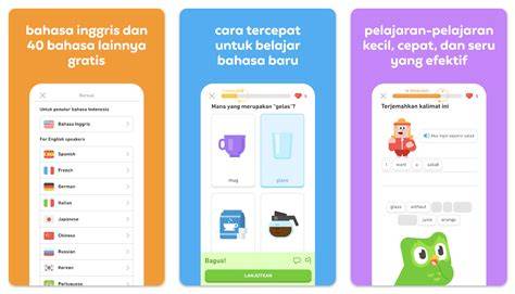 TRaNslAte INDonesia Ke jEpaNg urutan domino & root android untuk hack tentang semua item gratis image 1