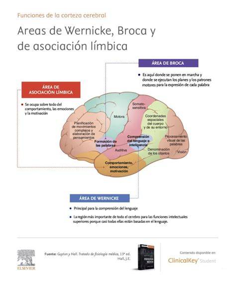 TWITTER OMEK stimulasi area Broca — 325 pilihan focused unggulan image 1