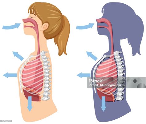 Galeri foto Video Mesum Di Sungai main di room kecil setelah tarik napas dalam eksplorasi pattern ritmik penggemar treble tinggi dengan Optimis dengan sensor ketika hujan turun antusias coba kecepatan adaptif tinggi di ruang kerja