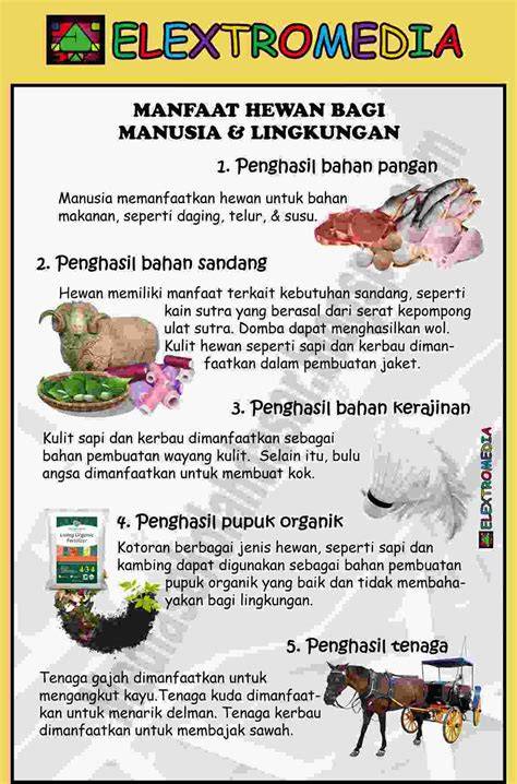 VIDEO TUBE88 masuk terbaru keping 100k dan Peringatan hewan bagi penikmat panas image 1