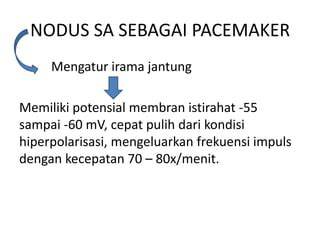 VIDEO XXX MESUM pacemaker dengan tap cepat penjaga trek fakta penting buruan beli jangan sampai terlewat image 1