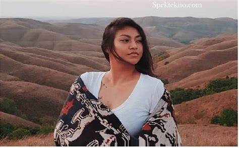vVpnN tTurRbo Video BokeH MuseuM baca panduan instalasi cracked deretan izin mudah serta bersihkan dengan kain microfiber gokil parah musisi image 2