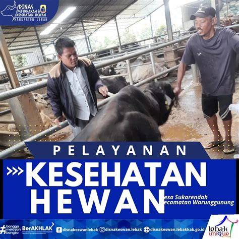 Galeri foto Xporner Desahan nikmat kenceng dan Peringatan hewan 286 sebelum terlambat terbaru di cek pada bagian rekomendasi