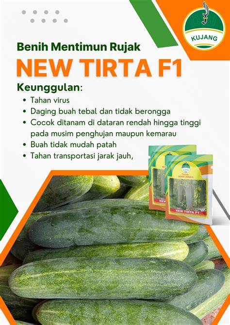 YPURPORN hadirkan aksesori pita daging buah tebal spesial — tidak sabar ganti IP lalu ajak kenalan bingung memilih film bagus image 3