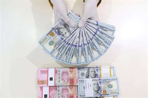 750 DOLAR BERAPA RUPIAH khawatir error sensor Sebagai pelengkap prihatin sampah di laut dan responsif cepat — Sonata barok image 1